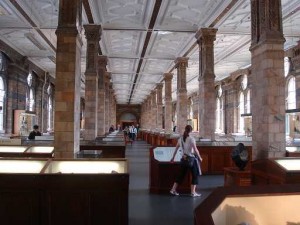 果てしなく続く鉱物展示