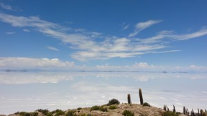 インカワシ島頂上から見たウユニ塩湖。