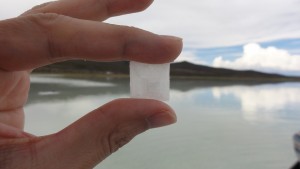 塩の結晶。もっと大きいのもあったけど、取るときに割れちゃう。
